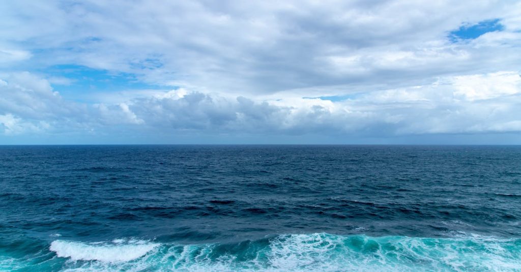 Is SEA Betaald?