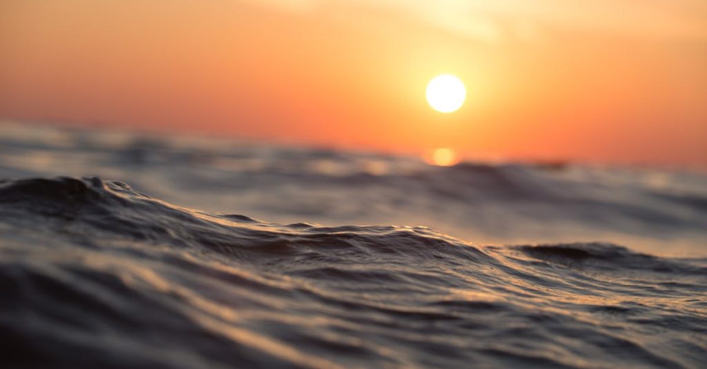 De zee: belang, bedreigingen en bescherming